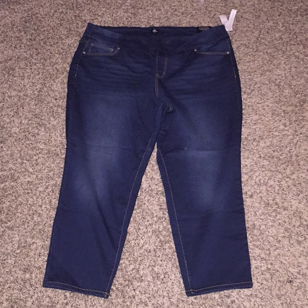 NWT Plus size Dressbarn pull on jeggings
